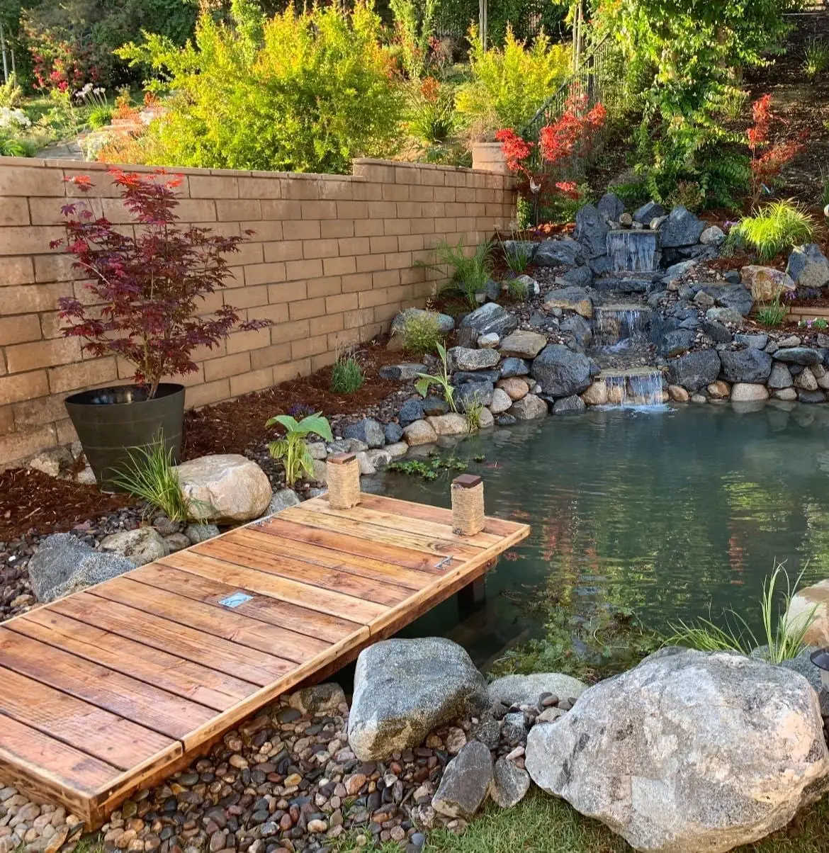 30 by 20 foot pond with waterfall and a custom wooden dock in Jurupa Valley, CA