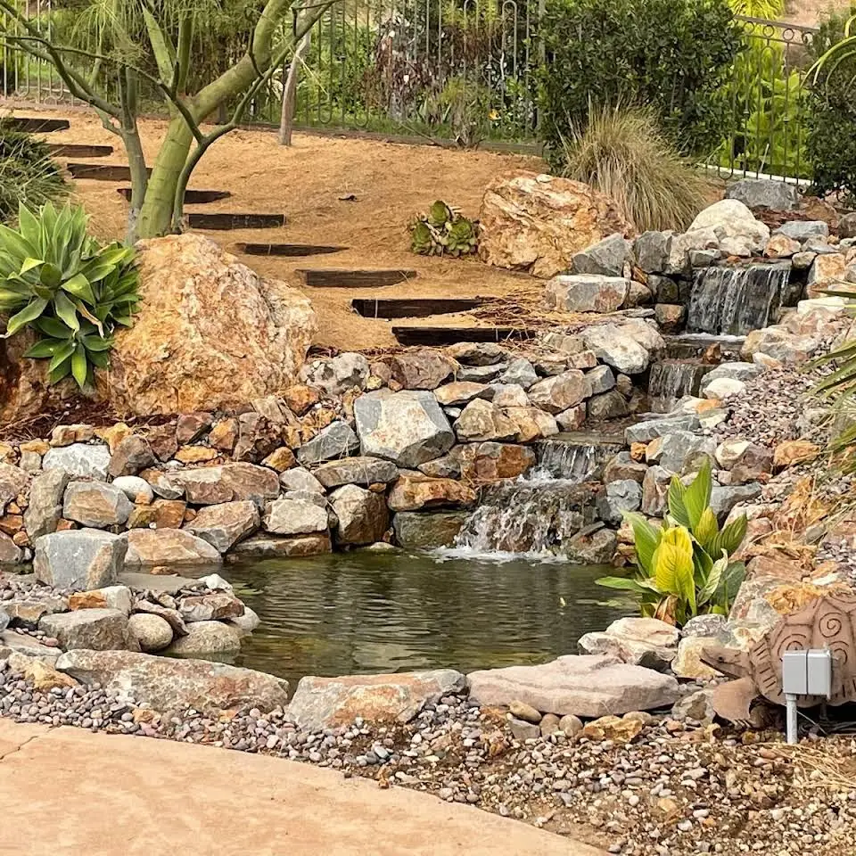 Finished koi pond with a stone waterfall, sand paths and tropical plants